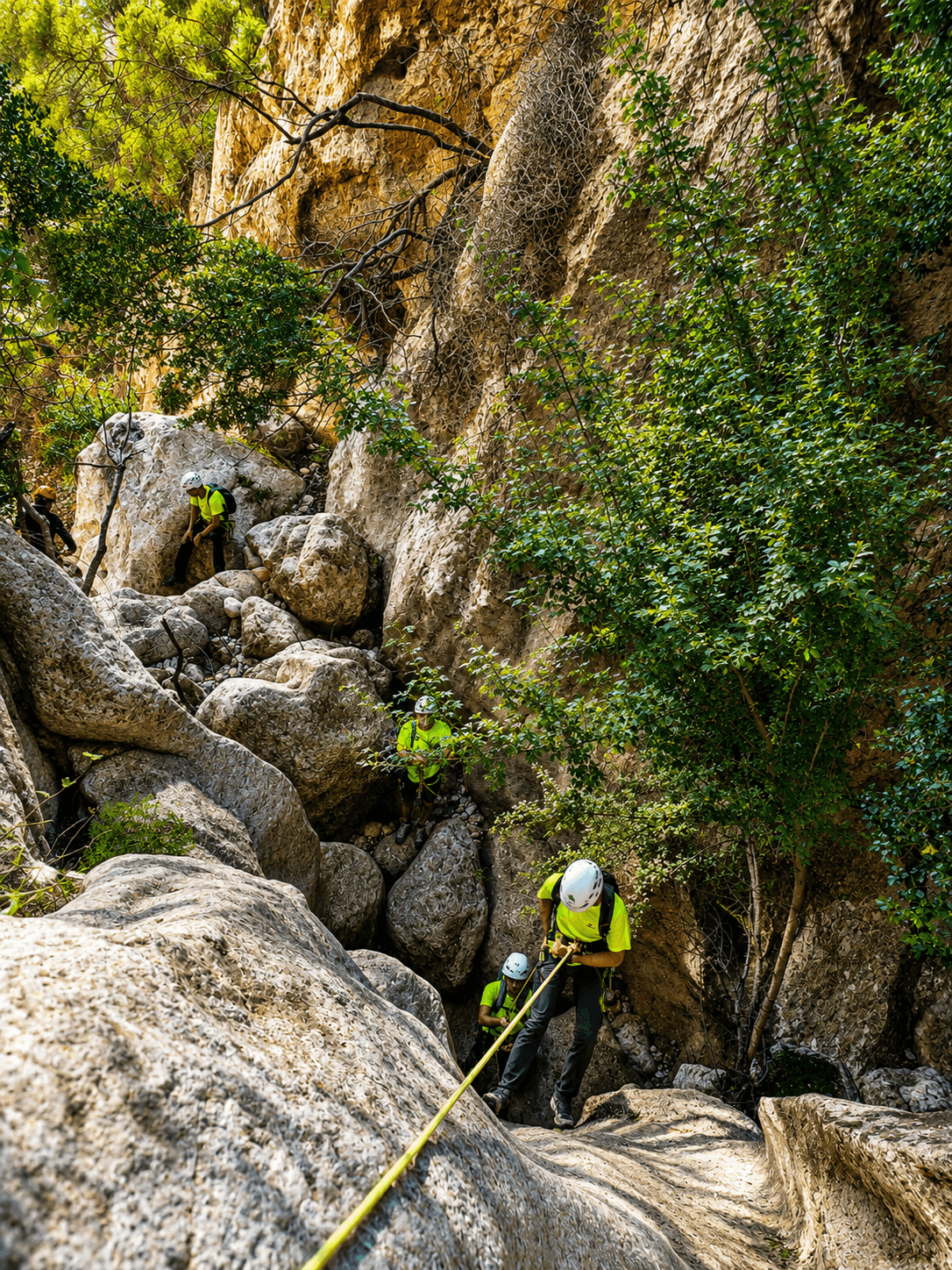 Canyoneers in neon shirts and helmets rappel down a steep, rocky gorge with green vegetation.